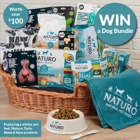 Win a tail-wagging Dog Bundle