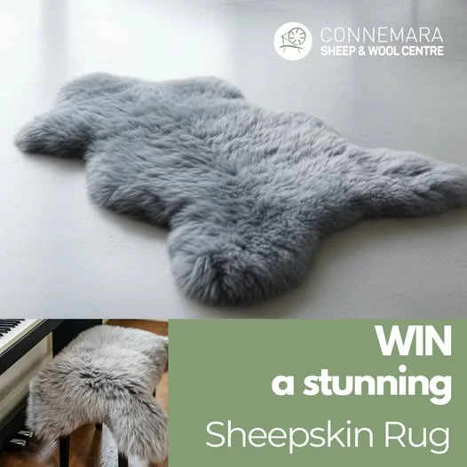 Win a Luxurious Grey Sheepskin Rug from Sheep & Wool Centre