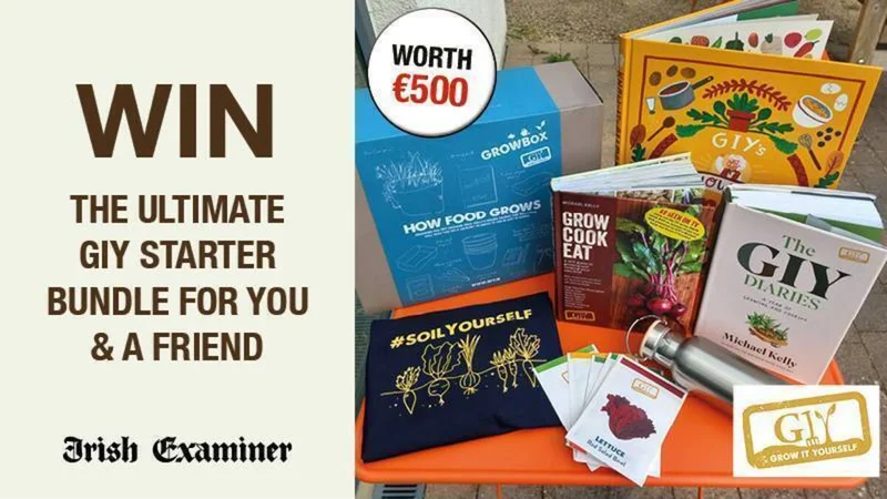 Win the Ultimate GIY Starter Bundle for You and a Friend