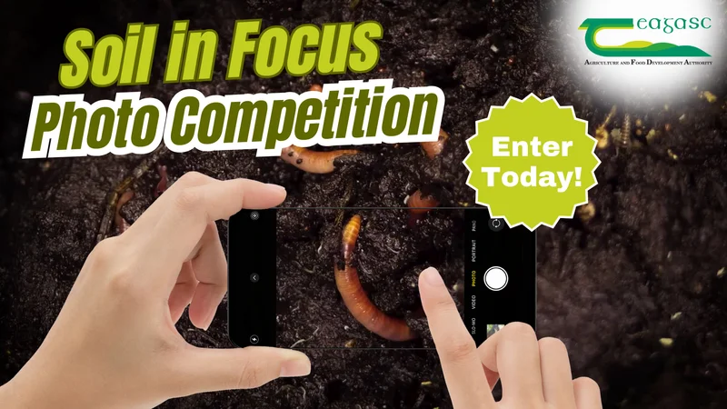 Win a  €250 One4All voucher