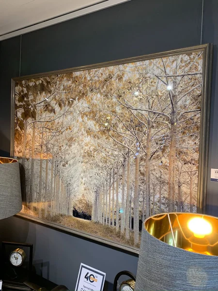 Win the “ Avenue of Trees “ Picture