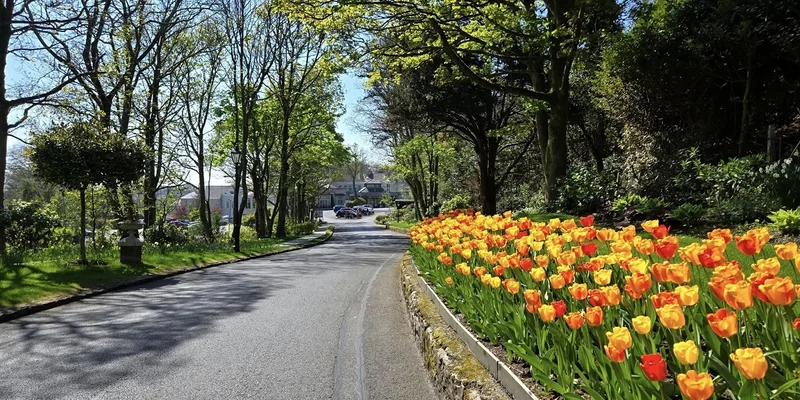 Win A Two-Night Getaway At The Ardiluan Hotel Galway