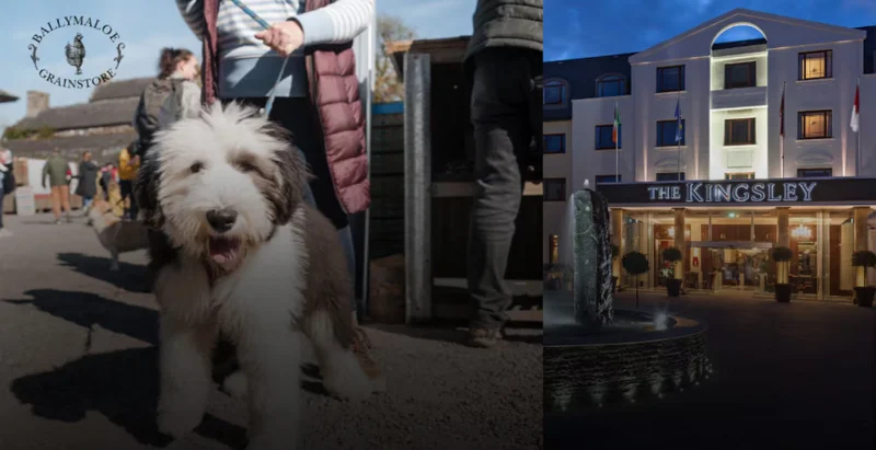 Win the paw-fect trip for you and your four-legged friend with a trip to Cork