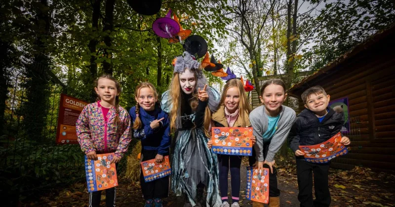 Win an all access family pass to Emerald Park This Halloween