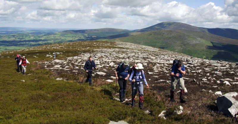 Win a Carlow Walking Break | Autumn Walking Festival 2026