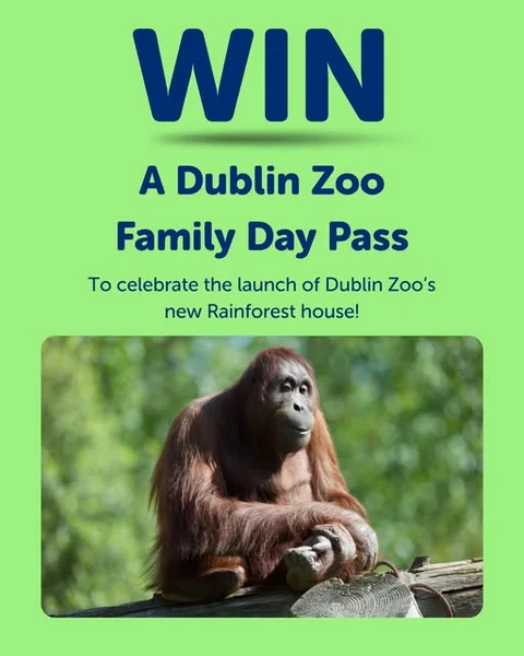 Win a Family Day Pass at Dublin Zoo