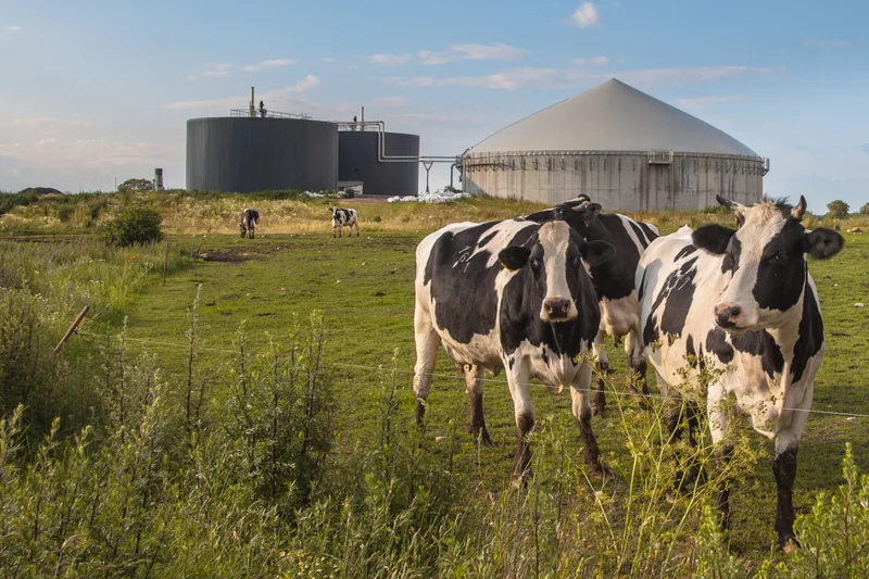 Win 2 tickets to this year's National Dairy Show