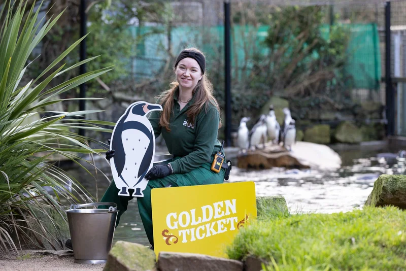 Golden Ticket Competition: Waddle Away the Winter Blues - Dublin Zoo