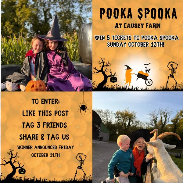 Win 5 tickets to Pooka Spooka