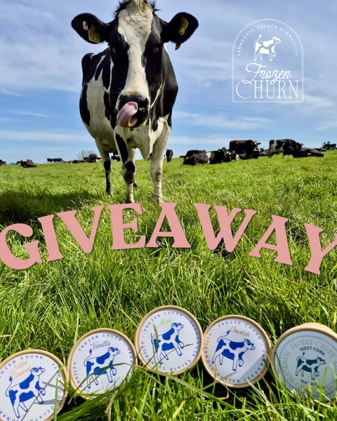 Win €100 voucher and Frozen Churn Gelato Hamper