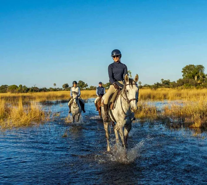 Win a Once-in-a-Lifetime Riding Safari in Botswana worth €12,000!