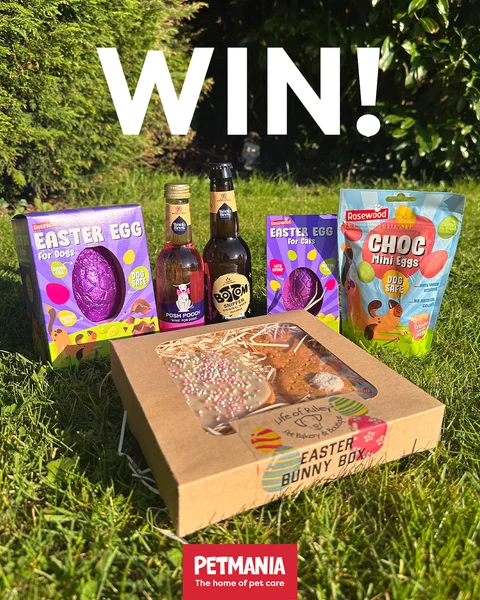 Win Easter Hampers up for grabs for some lucky Pets