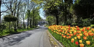 Win A Two-Night Getaway At The Ardiluan Hotel Galway