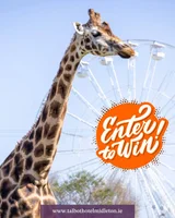 Win One night's stay with Breakfast in a Family Room