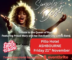 Win tickets to Tina Turner, Simply the Best Tribute