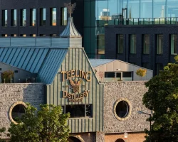 Win tickets to Taste of Dublin 2026 and a luxury stay at The Hoxton