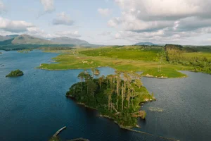 Win a FREE Midweek Stay at The Westwood in Galway