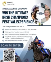 Win the Ultimate Irish Champions Festival Experience