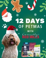 Connolly’s RED MILLS 12 Days of Petmas