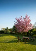 Win An exclusive garden makeover with Tirlán CountryLife
