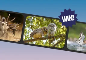 Win a two-day photography masterclass and more