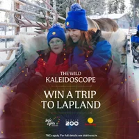 Win a Magical Family Trip to Lapland