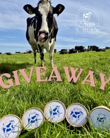 Win €100 voucher and Frozen Churn Gelato Hamper